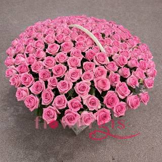 Розовая мечта